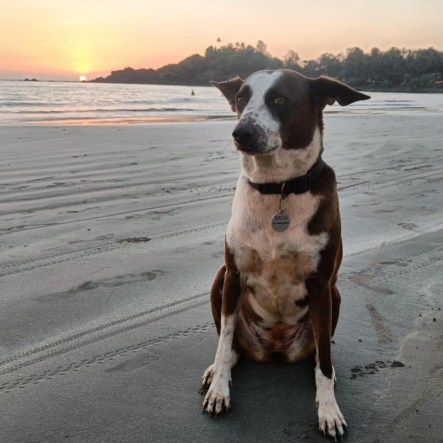 Nada Brahma Patnem Beach 外观 照片